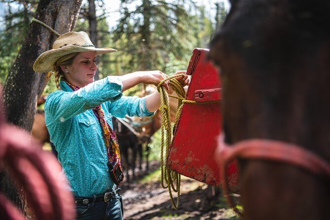 2-Day Sundance Overnight Backcountry Lodge Trip by Horseback - Sundance Lodge at night: what a “luxurious backcountry haven” feels like