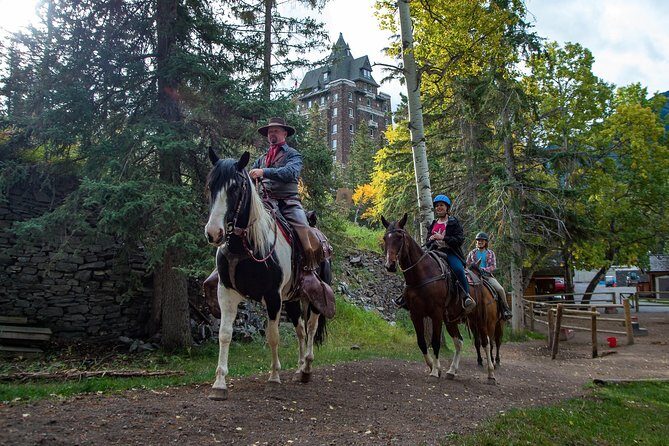 4 Hour Sulphur Mountain Horseback Ride - Who this is for: past riding experience is not optional