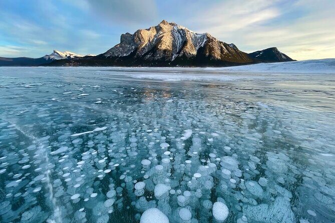 Abraham Ice Bubble/Sunwapta Falls,Snowshoeing,Icefield, Bow&Peyto - Bow Lake: Glacial-Turquoise That’s Hard to Describe