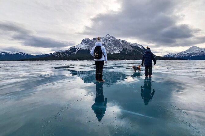 Abraham Ice Bubble/Sunwapta Falls,Snowshoeing,Icefield, Bow&Peyto - If Abraham Lake Can’t Happen: Weeping Wall, Athabasca, Stutfield, Tangle Creek