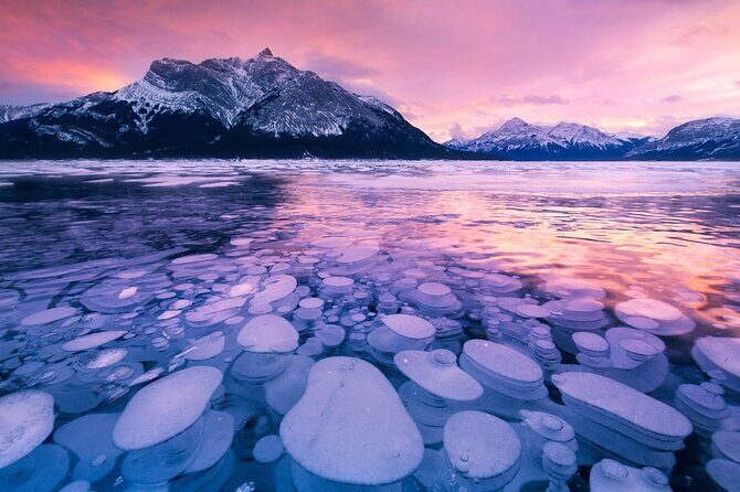 Abraham IceBubble, Peyto, Bow Lake with Snowshoeing& Icewalk - Key highlights you can plan around