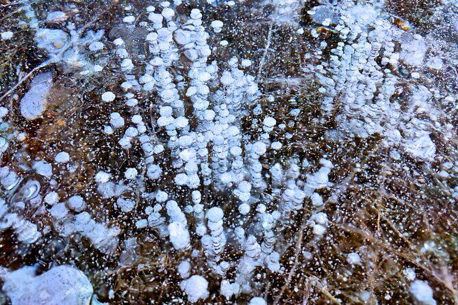 Abraham IceBubble, Peyto, Bow Lake with Snowshoeing& Icewalk - Crowfoot to the Icefields: what Athabasca Falls and Jasper add