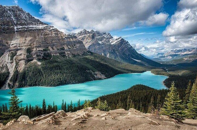 Along Icefields Parkway: Peyto Lake, Bow Lake & Columbia Icefield - Bow Lake’s Turquoise Water: When Calm Weather Becomes the Star