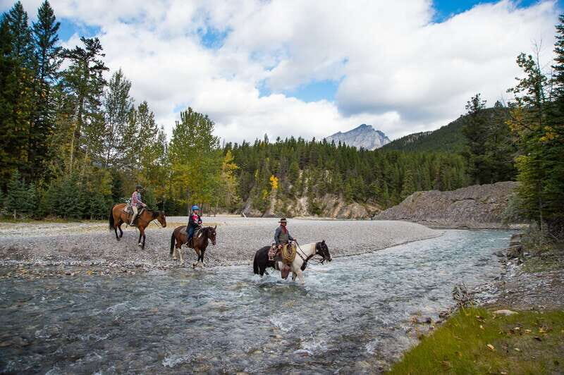 Banff: 4-Hour Sulphur Mountain Intermediate Horseback Ride - Should You Book This Sulphur Mountain Ride?