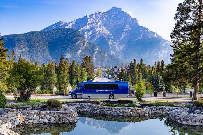 Banff and its Wildlife - Year Round Tour - Wildlife chances start on the road, not in a viewing tower