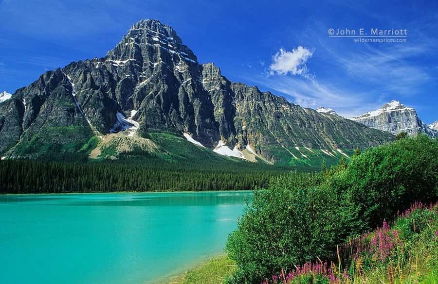 Banff and Jasper National Parks: Tour with Transport - Columbia Icefield: The Main Event at the Edge of the Athabasca Glacier