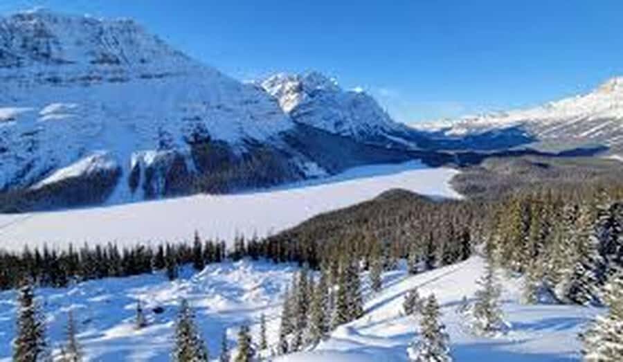 Banff and Jasper National Parks: Tour with Transport - Jasper National Park: More Wilderness Time Than You’d Expect