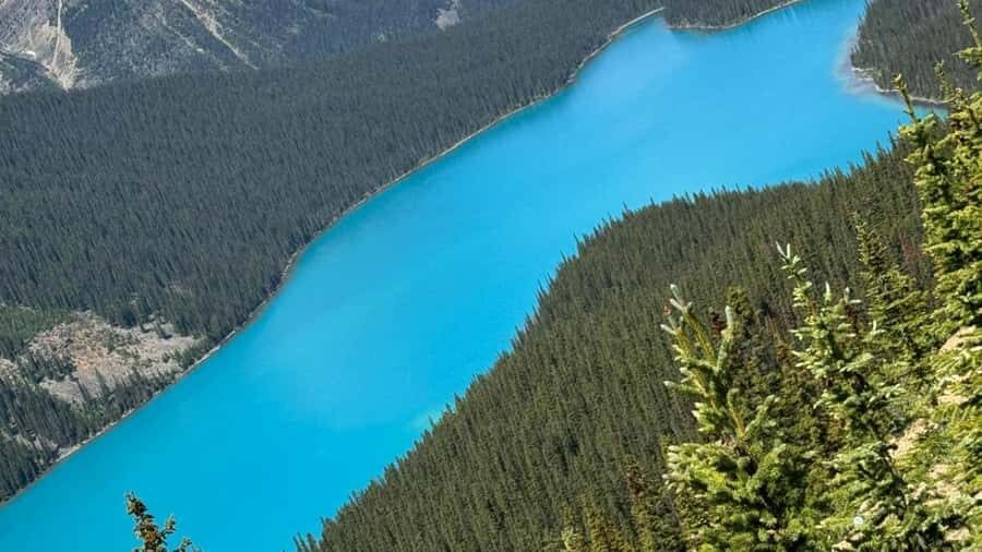 Banff/Calgary/Canmore: Crowfoot Glacier and 5 Lakes Tour - Peyto Lake’s viewpoint time: turquoise photos without the stress