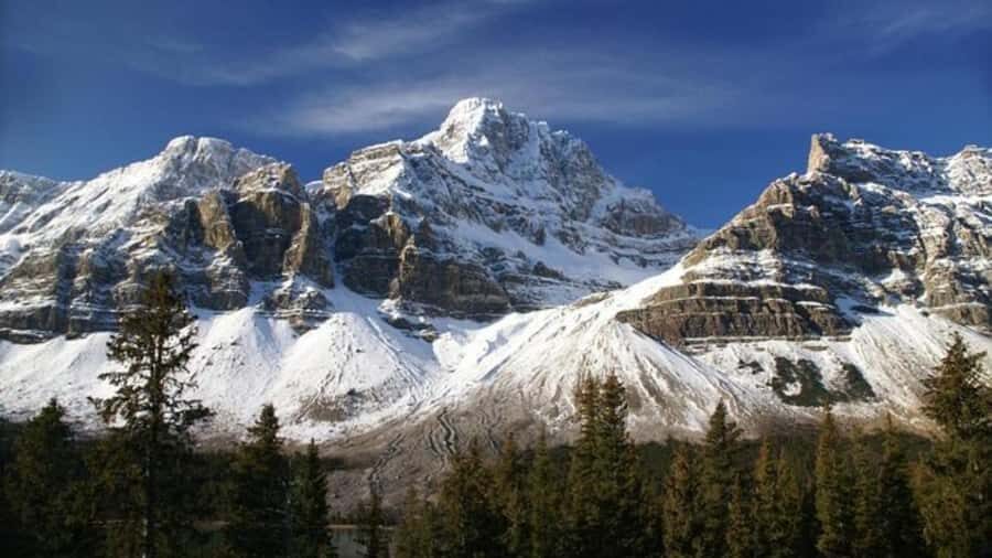 Banff/Calgary/Canmore: Crowfoot Glacier and 5 Lakes Tour - Herbert, Bow, and Waterfowl: three more chances at alpine calm