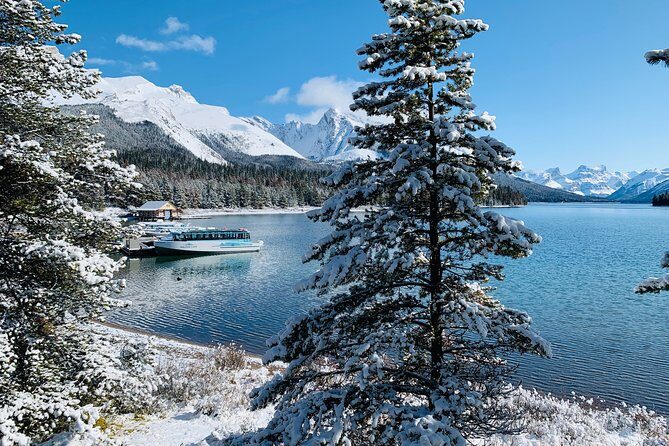Banff (Canmore) to Calgary Public Shuttle - Luggage policy: the part that can surprise you at the curb