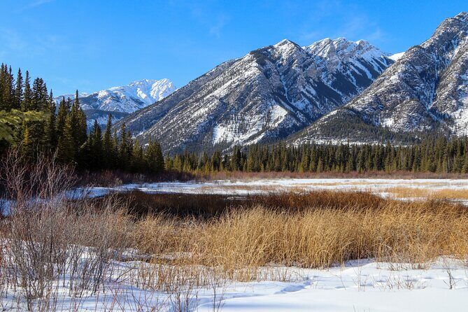 Banff Cave & Hot Springs Audio Walking Tour (Not a Ticket) - Sulphur Mountain in Sight: Cosmic Ray Station Storyline