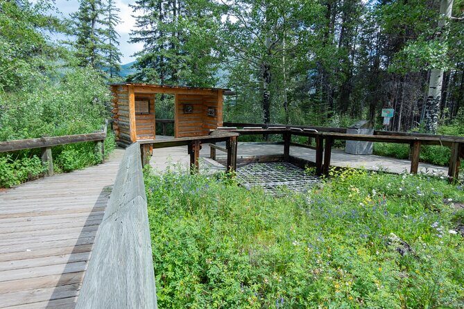 Banff Cave & Hot Springs Audio Walking Tour (Not a Ticket) - Route Reality Check: Length, Pacing, and What to Wear