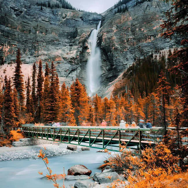 Banff: Emerald Lake, Wapta Falls & Takakkaw Falls Day Trip - Banff to Yoho in 10 Hours: How the Route Stays Manageable