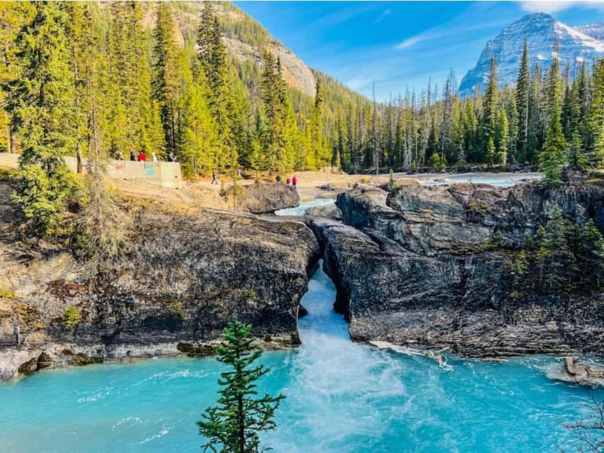 Banff: Emerald Lake, Wapta Falls & Takakkaw Falls Day Trip - Pickup and Small-Group Comfort: Starting the Day without Hassle