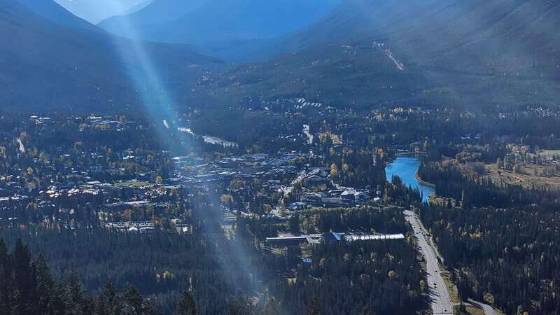 Banff: Evening Wildlife Safari Guided Tour - Common Wildlife You Might See (and What to Expect When You Do)