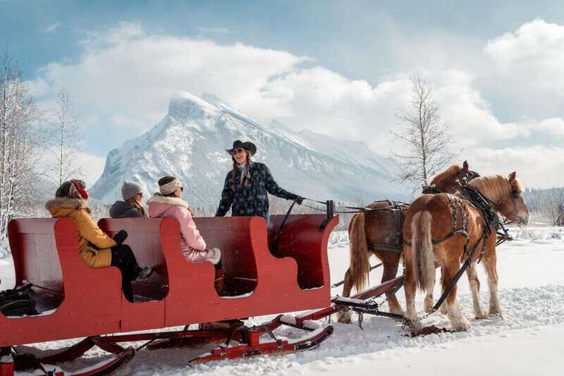 Banff: Family Friendly Horse-Drawn Sleigh Ride - Quick Take: what matters most before you go