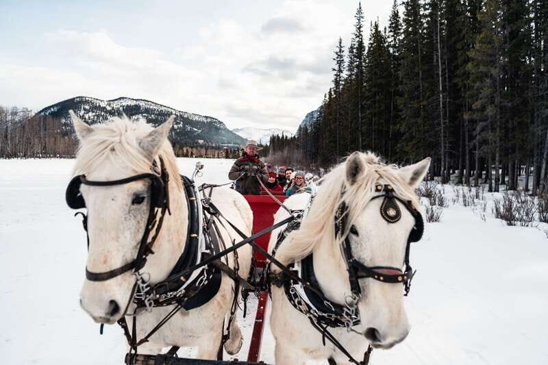 Banff: Family Friendly Horse-Drawn Sleigh Ride - The mountain view moment: Rundle and Cascade from the valley