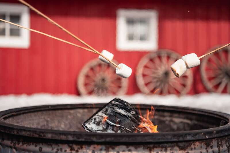 Banff: Family Friendly Horse-Drawn Sleigh Ride - After the sleigh: fireside warm-up with hot drinks