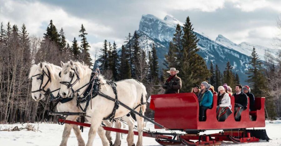 Banff: Family Friendly Horse-Drawn Sleigh Ride - What to bring (and how to actually enjoy the cold)