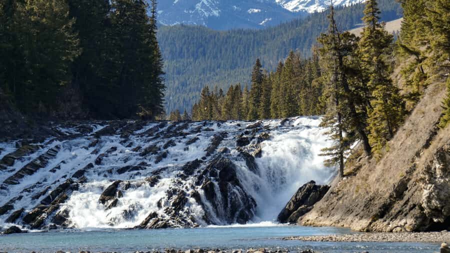 Banff: Gondola Ticket and Johnston Canyon Hiking Tour - Hoodoos, Bow Falls, and the easiest geology win