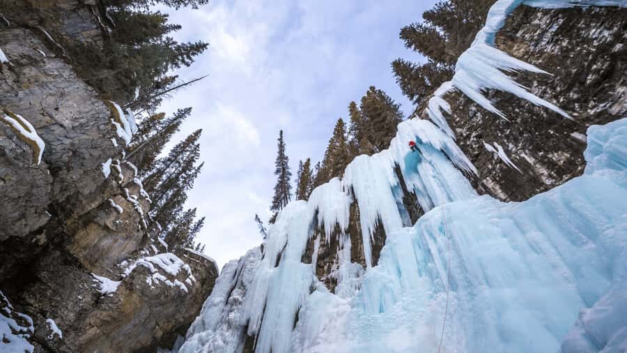 Banff: Gondola Ticket and Johnston Canyon Hiking Tour - Sulphur Mountain by Banff Gondola: the view stop that changes your perspective