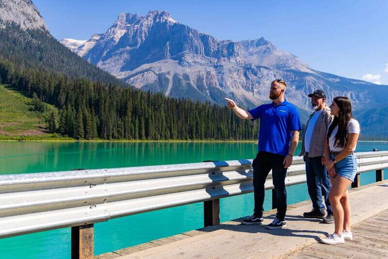 Banff: Grizzly Bear Refuge Tour with Lunch - A Grizzly Meeting That Feels Like Conservation, Not a Show