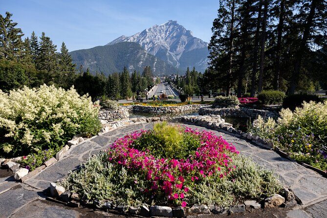 Banff Highlights E-Bike Tour - E-bike value in Banff: Why $97.09 can make sense