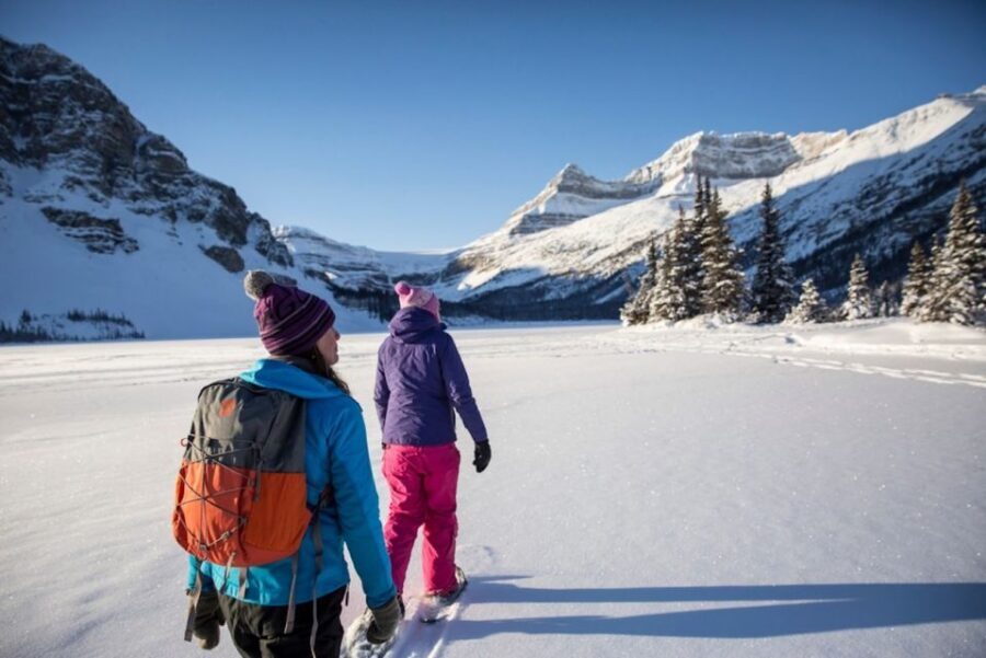 Banff: Icefields Parkway & Abraham Lake Ice Bubbles Tour - Key takeaways before you go