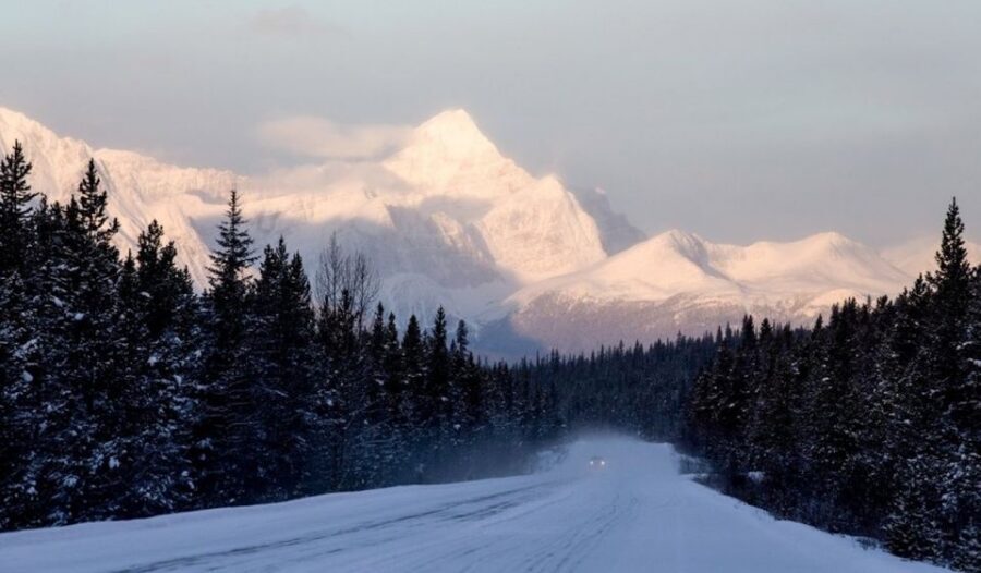 Banff: Icefields Parkway & Abraham Lake Ice Bubbles Tour - Why this Icefields Parkway day feels personal (not rushed)
