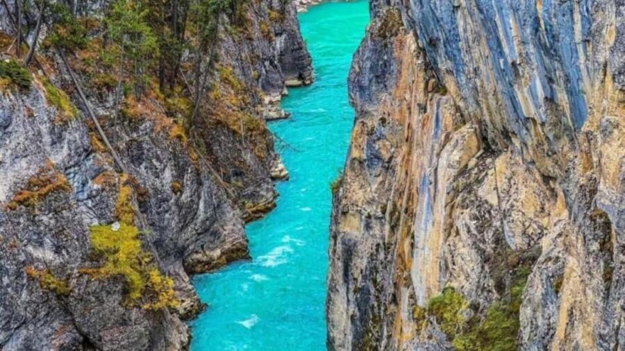 Banff. Moraine, Lake Louise ,Emerald & Johnston Canyon tour - Key Things to Know Before You Go