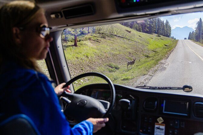 Banff Morning Tour Scenic Highlights and Gondola Ride - What You Get With the Small-Group Format