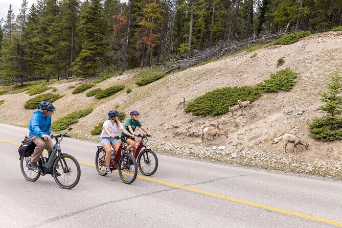 Banff Mountain Lakeside - E-bike Tour - Key highlights you’ll care about