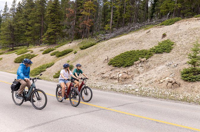 Banff Mountain Lakeside - E-bike Tour - Bankhead Ghost Town ruins: an atmospheric break from pure scenery
