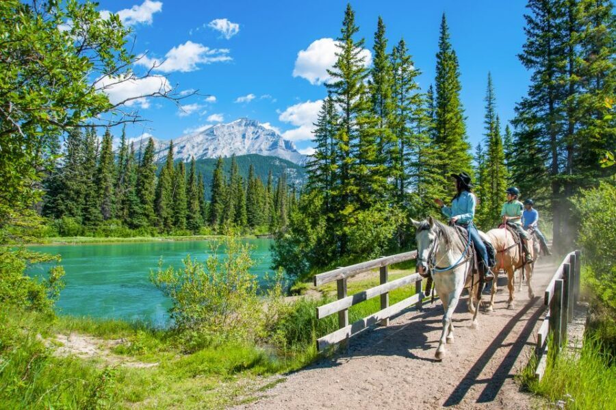 Banff National Park: 1-Hour Bow River Horseback Ride - Horses and Guides: Why This Ride Works for Beginners