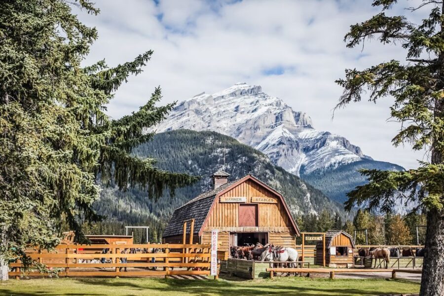 Banff National Park: 1-Hour Bow River Horseback Ride - Mount Up: The Basics of Riding Before You Hit the River