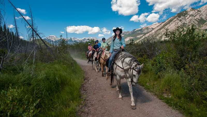Banff National Park: 2-Hour Sundance Loop Horseback Ride - Thicker terrain (marshes) and what it means for your comfort