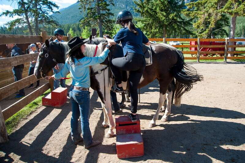 Banff National Park: 2-Hour Sundance Loop Horseback Ride - Sulphur Mountain climb and Windy Knoll: where the views earn their keep