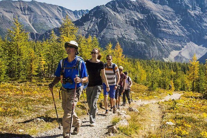 Banff National Park Guided Hike with Lunch - Lunch With Rockies Views: What You Really Get
