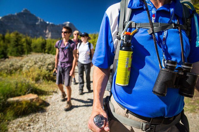 Banff National Park Guided Hike with Lunch - Final Thoughts: Should You Book It?