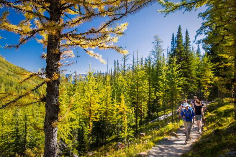 Banff National Park: Guided Signature Hikes with Lunch - Key highlights at a glance