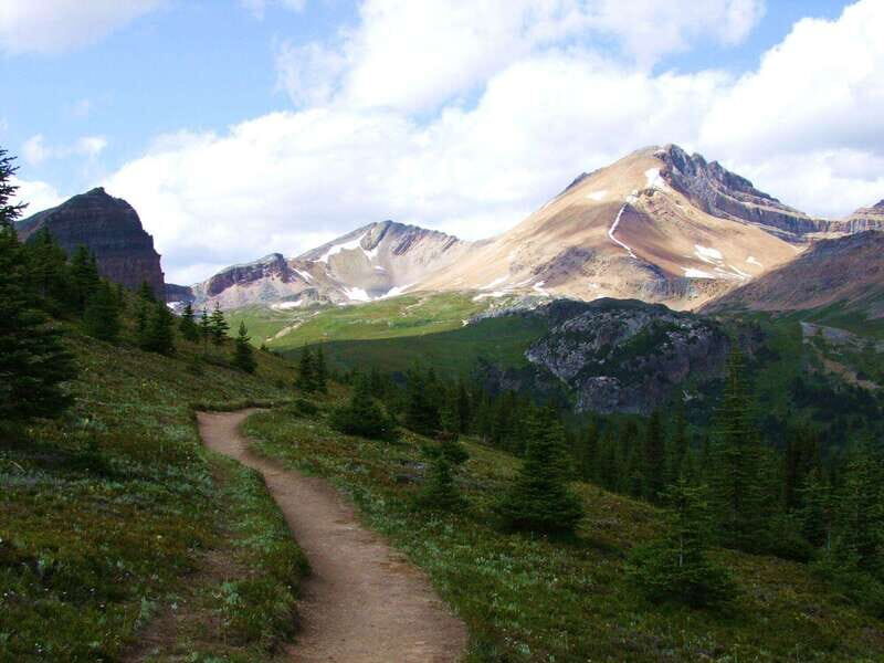 Banff PRIVATE Guided Nature Walk + Transportation - 2.5H - Transportation included: why the short coach ride helps