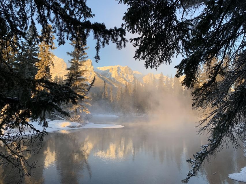 Banff PRIVATE Guided Nature Walk + Transportation - 2.5H - Who should book this private Banff nature walk?