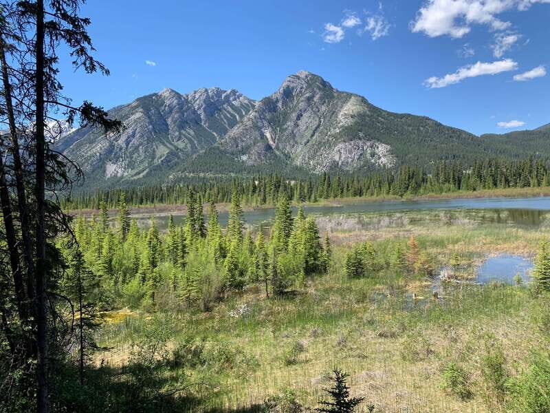 Banff PRIVATE Guided Nature Walk + Transportation - 2.5H - The 2-hour private nature walk: a route built around you