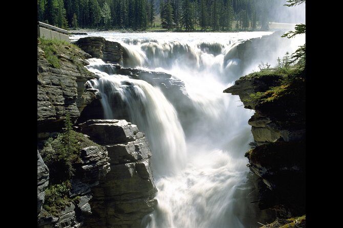 Banff to Jasper One-Way Tour - Food and Timing: Making a 10-Hour Day Work for You