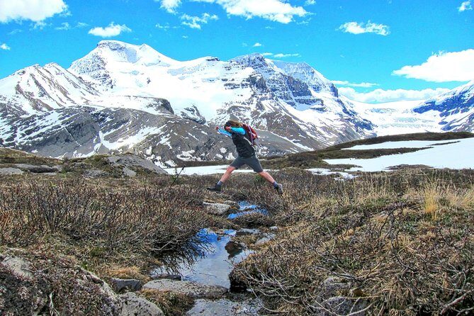 Banff to Jasper One-Way Tour - Price and Value: Is $260.98 Worth It?