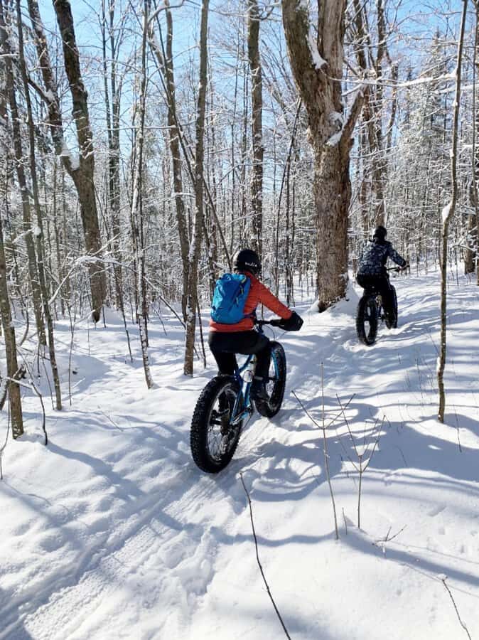 Banff Top Sights via Electric Fat Bike Tour All Skill Levels - Banff’s Best Backdrop in 2 Hours: Mountains, rivers, and landmark stops