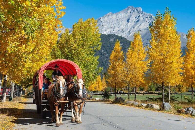 Banff: Wagon Ride with Cowboy Cookout BBQ - Bow River hour: a calm ride past Cave and Basin to 3 Mile Cabin