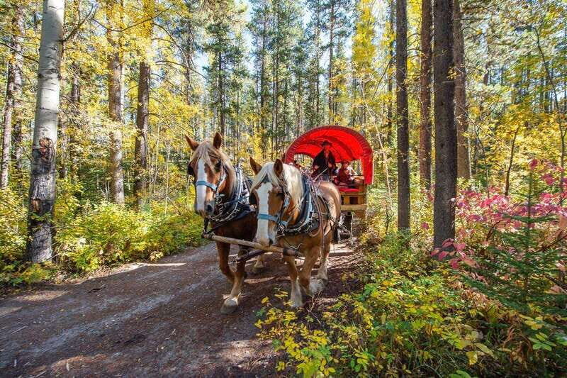 Banff: Wagon Ride with Cowboy Cookout BBQ - Price and value: what $109 buys you in Banff