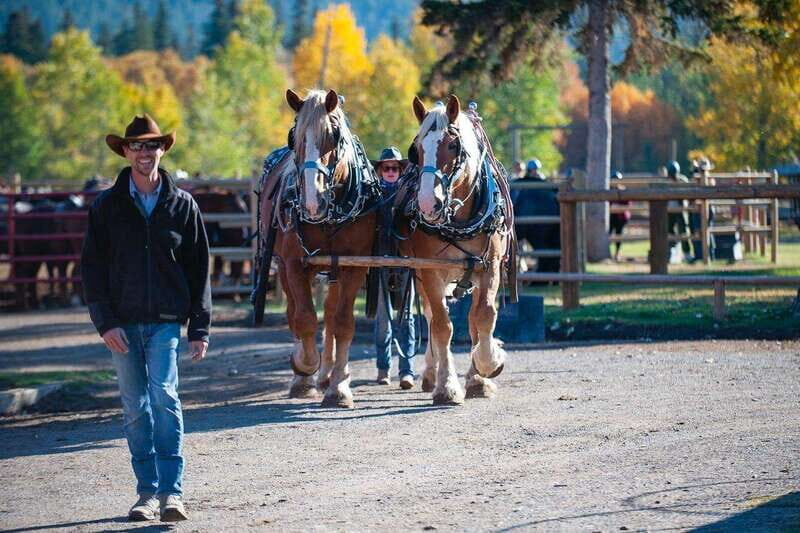 Banff: Wagon Ride with Cowboy Cookout BBQ - Warner Stables start: check in, then meet your horse team