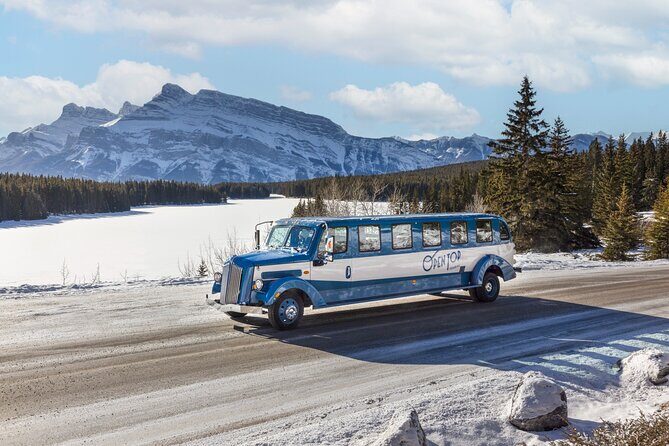 Banff Winter Tour Featuring Mountaintop Dinner and Banff Gondola - A six-hour winter plan with real payoff on Sulphur Mountain
